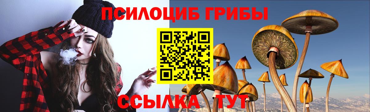 Псилоцибиновые грибы Psilocybe Верхняя Салда